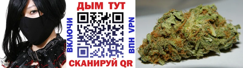 Купить закладку Альфа ПВП  Марихуана  Cocaine  Меф  Галлюциногенные грибы  ГАШ  Купино