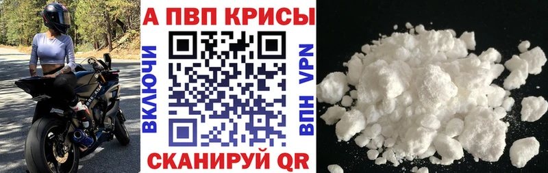 A PVP СК КРИС Купино