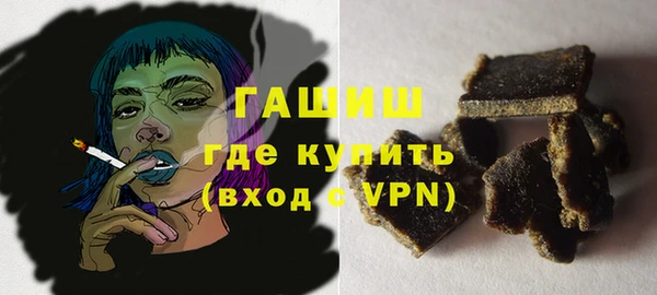 спиды Ельня