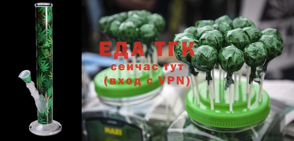 спиды Ельня