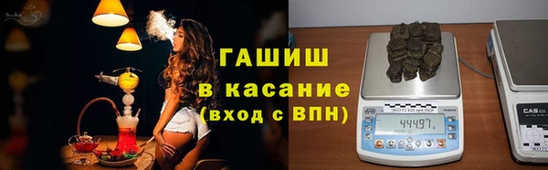 спиды Ельня