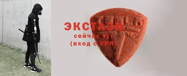 спиды Ельня