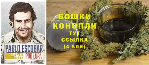 спиды Ельня