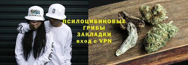 спиды Ельня
