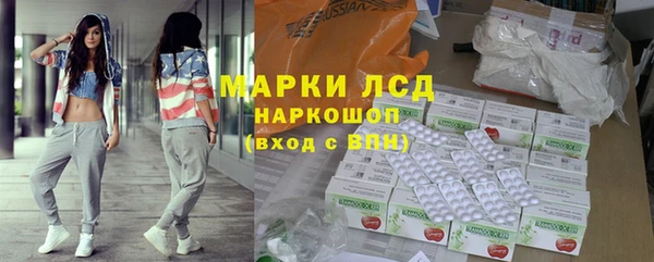 спиды Ельня