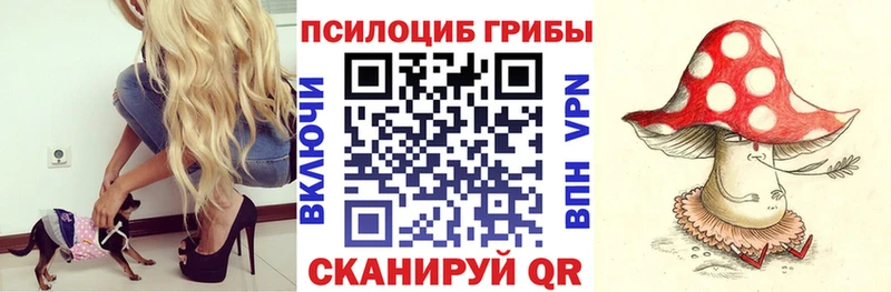 Галлюциногенные грибы Cubensis Купино